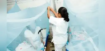 Alerta por casos de dengue en Cusco: 1 fallecido y 272 casos en La Convención Alerta por casos de dengue en Cusco: 1 fallecido y 272 casos en La Convención