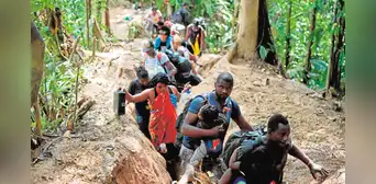 Cerca de 40 mil migrantes cruzaron la selva del Darién en lo que va del 2024 Cerca de 40 mil migrantes cruzaron la selva del Darién en lo que va del 2024