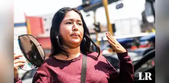 No solo insolación y deshidratación: algunos efectos en la salud causados por el calor extremo en Lima