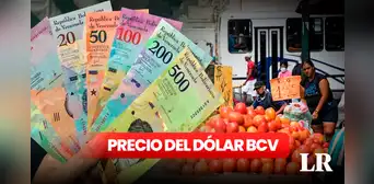 Precio del dólar BCV para hoy, sábado 10 de febrero, actualizado por el Banco Central de Venezuela