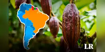 El mejor chocolate del mundo está en Sudamérica: superó a 50 países y se coronó con el máximo galardón