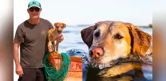 'Vaguito', el 'Hachiko Peruano': ¿cuándo se estrena la película basada en una dramática historia real?
