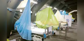 Reportan tres muertes por dengue en Áncash y Cusco Reportan tres muertes por dengue en Áncash y Cusco