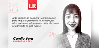 ChatGPT, describe a un periodista frustrado, por Camila Vera ChatGPT, describe a un periodista frustrado, por Camila Vera