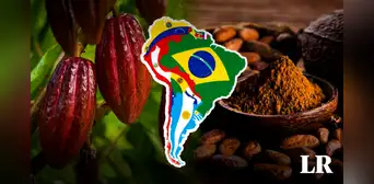 El mejor chocolate del mundo está en Sudamérica: superó a 50 países y se coronó con el máximo galardón El mejor chocolate del mundo está en Sudamérica: superó a 50 países y se coronó con el máximo galardón