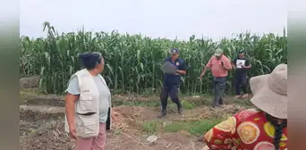 La Libertad: encuentran a bebé recién nacido abandonado en una chacra de Virú