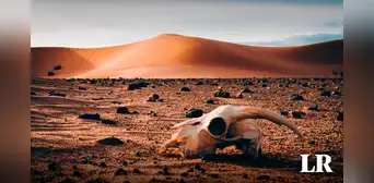 ¿Sabias que un desierto en América es el segundo lugar más caluroso del mundo?: marcó récord de 80.8°C ¿Sabias que un desierto en América es el segundo lugar más caluroso del mundo?: marcó récord de 80.8°C