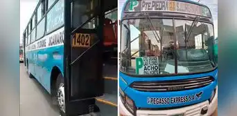 NUEVO bus une a SAN JUAN DE LURIGANCHO con PUENTE PIEDRA: ¿qué distritos recorre?