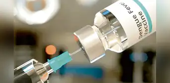Dengue: recomiendan vacunar contra esta enfermedad a personas vulnerables Dengue: recomiendan vacunar contra esta enfermedad a personas vulnerables