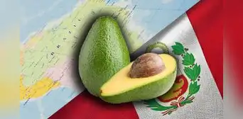 No es de Perú: descubre el país de América Latina en donde se origina la palta No es de Perú: descubre el país de América Latina en donde se origina la palta