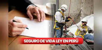 Asegura el bienestar de tus trabajadores: todo lo que debes saber sobre el Seguro de Vida Ley