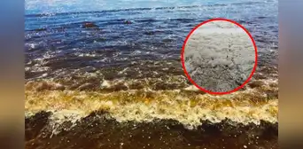 Extraña coloración marrón aparece en el mar desde Pisco hasta Chimbote: ¿a qué se debe este fenómeno? Extraña coloración marrón aparece en el mar desde Pisco hasta Chimbote: ¿a qué se debe este fenómeno?