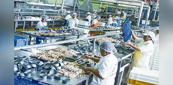 Economía peruana cae 0,55% en 2023 y se confirma mayor retroceso en 31 años Economía peruana cae 0,55% en 2023 y se confirma mayor retroceso en 31 años