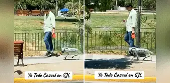 Joven saca a pasear su perro robot por parque de SJL y en redes bromean: “Lima ya es potencia mundial” Joven saca a pasear su perro robot por parque de SJL y en redes bromean: “Lima ya es potencia mundial”