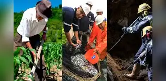 Trabajadores de agricultura, pesca y minería ganan por debajo del sueldo mínimo
