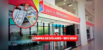 Banco de Venezuela 2024: ¿cómo comprar y vender dólares? Guía fácil Banco de Venezuela 2024: ¿cómo comprar y vender dólares? Guía fácil