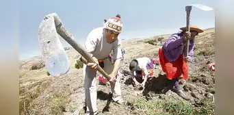 Apenas 3 de cada 10 trabajadores son formales