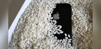 Apple destruye mito del arroz y afirma que no sirve para reparar tu iPhone mojado Apple destruye mito del arroz y afirma que no sirve para reparar tu iPhone mojado
