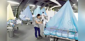 En seis semanas: 21 muertos y 18.000 infectados por dengue En seis semanas: 21 muertos y 18.000 infectados por dengue