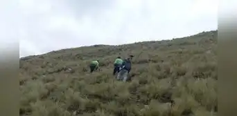 Pastor de ovejas en Cusco muere tras ser impactado por un rayo
