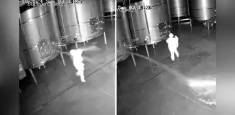Asaltan bodega y derraman más de 60.000 litros de vino valorizado en US$2,5 millones Asaltan bodega y derraman más de 60.000 litros de vino valorizado en US$2,5 millones