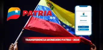 Monedero Patria 2024: ¿por qué no puedo transferir dinero a familiares?