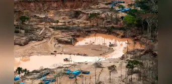 Minería ilegal en Venezuela ocasionó deforestación de un equivalente a 40.000 campos de fútbol
