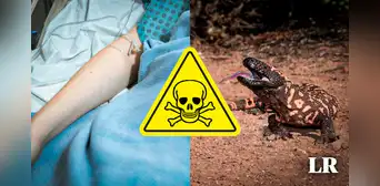 ¡Mordido por un monstruo de Gila! Hombre de 34 años muere al ser atacado por su mascota ¡Mordido por un monstruo de Gila! Hombre de 34 años muere al ser atacado por su mascota