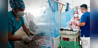 Piura será declarada en emergencia por incremento del dengue: ¿cuántos casos se reportan?