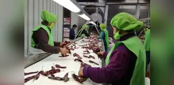Se perdieron 200.000 empleos en el sector exportación durante 2023