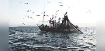 Pesca, el sector más golpeado del 2023, no tendrá tregua este año Pesca, el sector más golpeado del 2023, no tendrá tregua este año