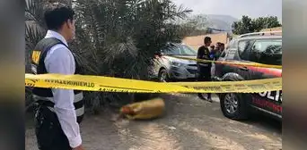 Vecinos de SJL encuentran cadáver dentro de una bolsa: desconocidos también dejaron amenaza Vecinos de SJL encuentran cadáver dentro de una bolsa: desconocidos también dejaron amenaza