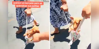 Usan peculiar forma de transportar a un perrito para evitar que se queme sus patitas ante inclemente sol