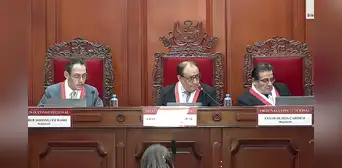 El Tribunal Constitucional nombra a nuevo integrante de la JNJ  y cesa a Guillermo Thornberry