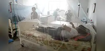 Van 32 muertos por dengue y ponen al país en emergencia Van 32 muertos por dengue y ponen al país en emergencia
