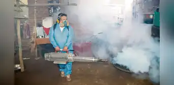 Piden evitar que epidemia del dengue sea como en 2023