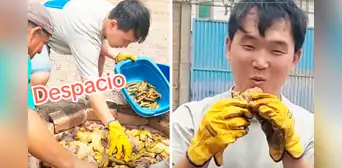 Coreano se lleva una gran sorpresa al probar pachamanca por primera vez en Perú Coreano se lleva una gran sorpresa al probar pachamanca por primera vez en Perú