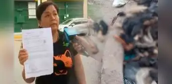 SJL: encuentran bolsas llenas de colas de perros en plena av. Jorge Basadre