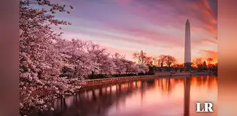 ¿Cuándo se realizará el Festival de los Cerezos en Flor en Washington D. C.? ¿Cuándo se realizará el Festival de los Cerezos en Flor en Washington D. C.?