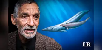 Perucetus podría no ser el animal más pesado del mundo y su descubridor Mario Urbina lo confirma Perucetus podría no ser el animal más pesado del mundo y su descubridor Mario Urbina lo confirma