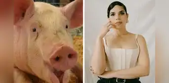 América ferrera de cuidadora de cerdo a nominada a los Oscar 2024 por su monólogo feminista en 'Barbie' América ferrera de cuidadora de cerdo a nominada a los Oscar 2024 por su monólogo feminista en 'Barbie'