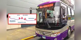 MTC: ¿qué pasará tras anuncio de cese del corredor morado y qué bus cubrirá su ruta?