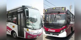 De SJL al centro de Lima: ¿qué empresas de transporte cubrirán la ruta del Corredor Morado?