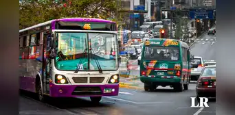 Corredor Morado: ¿qué buses volverán a pasar por av. Tacna tras paro del 4 de marzo? Corredor Morado: ¿qué buses volverán a pasar por av. Tacna tras paro del 4 de marzo?