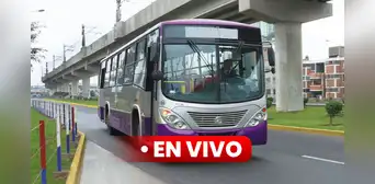 Corredor Morado deja de operar EN VIVO: vocero confirmó reunión con ministro del MTC hoy en la tarde Corredor Morado deja de operar EN VIVO: vocero confirmó reunión con ministro del MTC hoy en la tarde