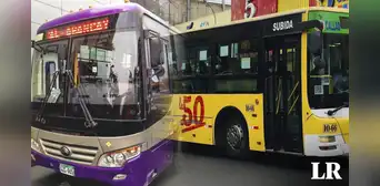 Línea 50 no podrá apoyar en ruta del Corredor Morado por multas con la ATU Línea 50 no podrá apoyar en ruta del Corredor Morado por multas con la ATU