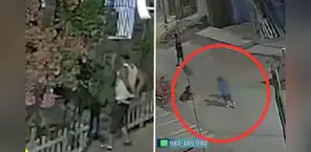 Villa El Salvador: hombre acuchilla y mata a perrito que mordió a su nieto Villa El Salvador: hombre acuchilla y mata a perrito que mordió a su nieto