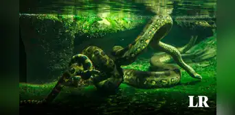 La anaconda verde, la serpiente más grande del mundo vive en la amazonía peruana La anaconda verde, la serpiente más grande del mundo vive en la amazonía peruana