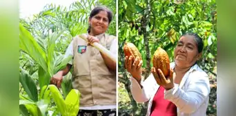 Conoce a las lideresas amazónicas que sobresalen en el ámbito agrícola: "Me dieron a elegir entre mi familia o mi trabajo" Conoce a las lideresas amazónicas que sobresalen en el ámbito agrícola: "Me dieron a elegir entre mi familia o mi trabajo"