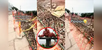 Retiran candados del amor en parque de Miraflores y en redes bromean: “Se viene la ola de solteros” Retiran candados del amor en parque de Miraflores y en redes bromean: “Se viene la ola de solteros”
